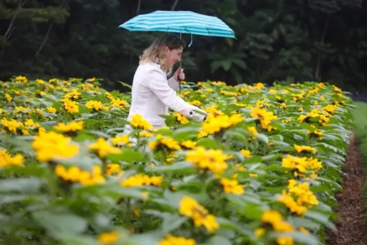 Agenda de eventos de agosto em Joinville: celebrando e vivendo a cidade!