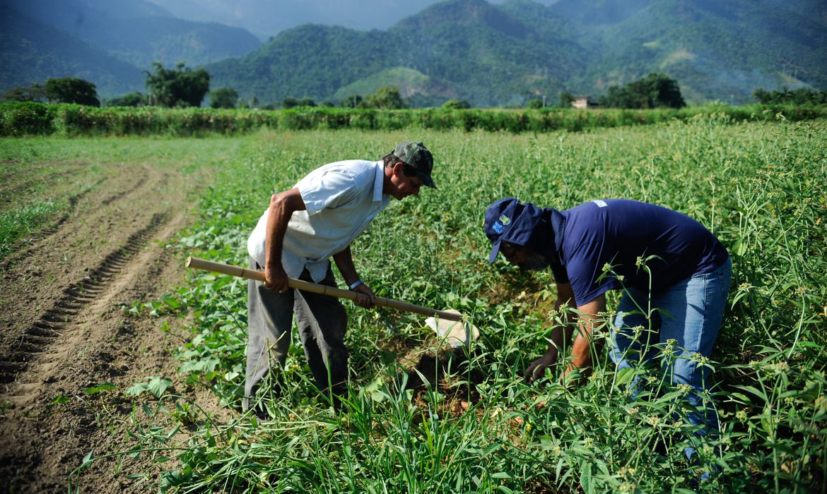 Agricultura