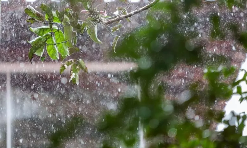 Semana interia de chuva em Joinville - Foto divulgação.