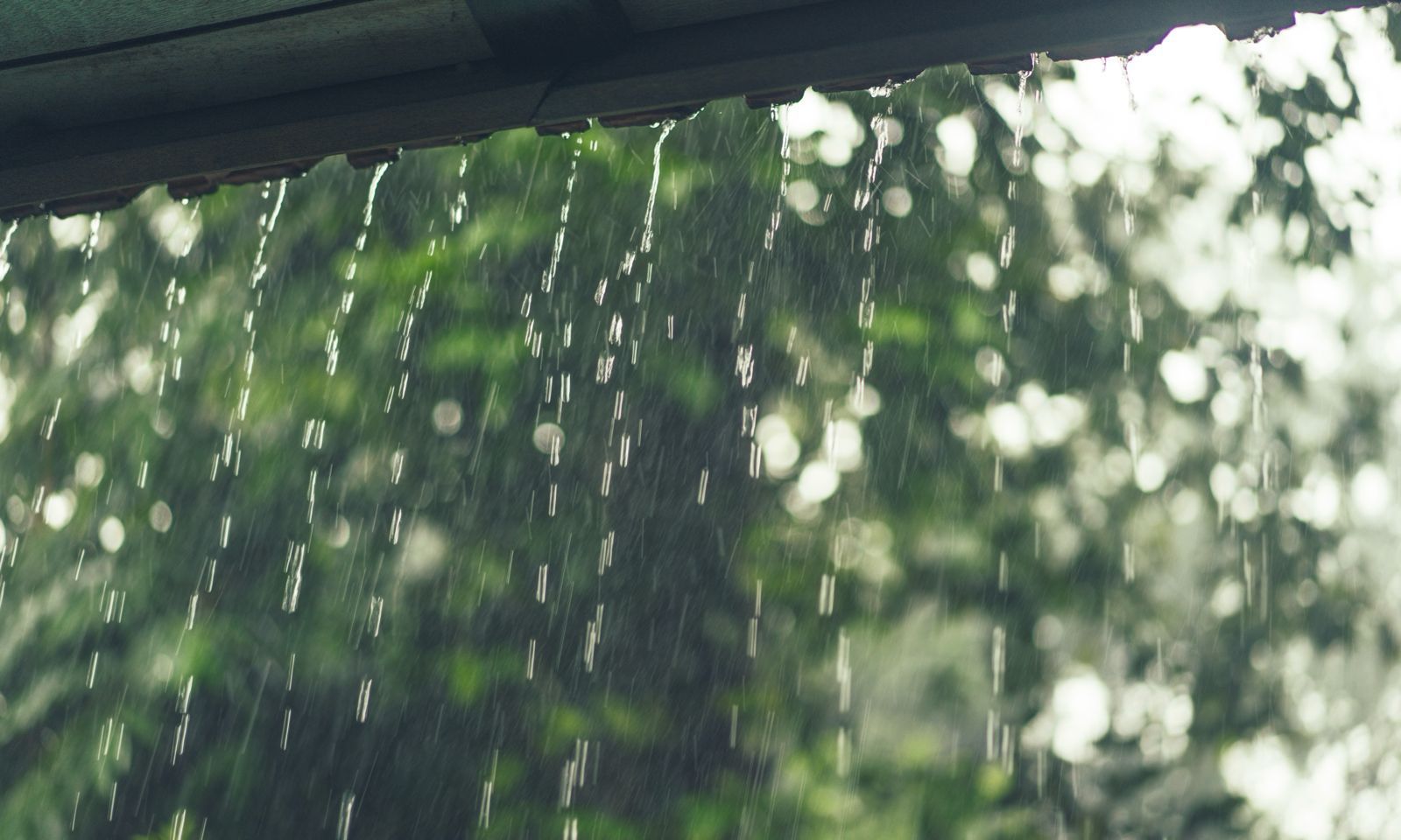 Chuva volumosa é esperado em Joinville - Foto divulgação