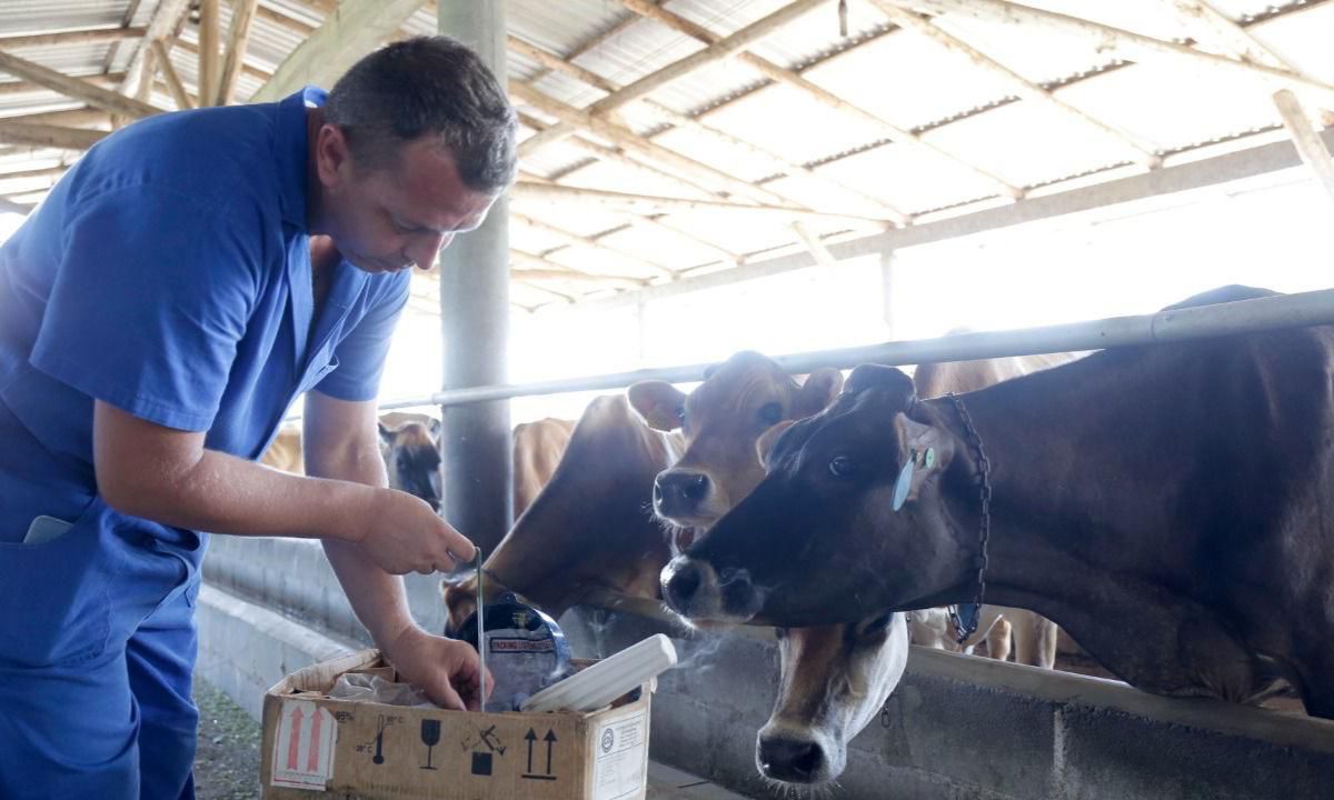 Curso técnico de agronegócio com duração de 2 anos - Foto divulgação