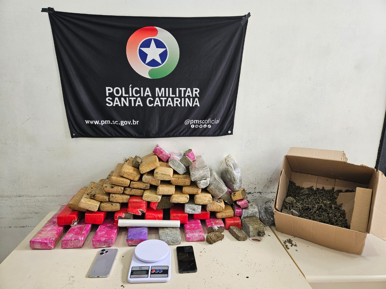 Maconha aprrendida pela Polícia Militar em Joinville - Foto PM