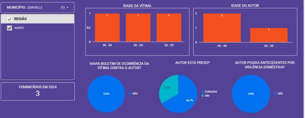 Feminicídos em Joinville 2024 - Fonte Observatório