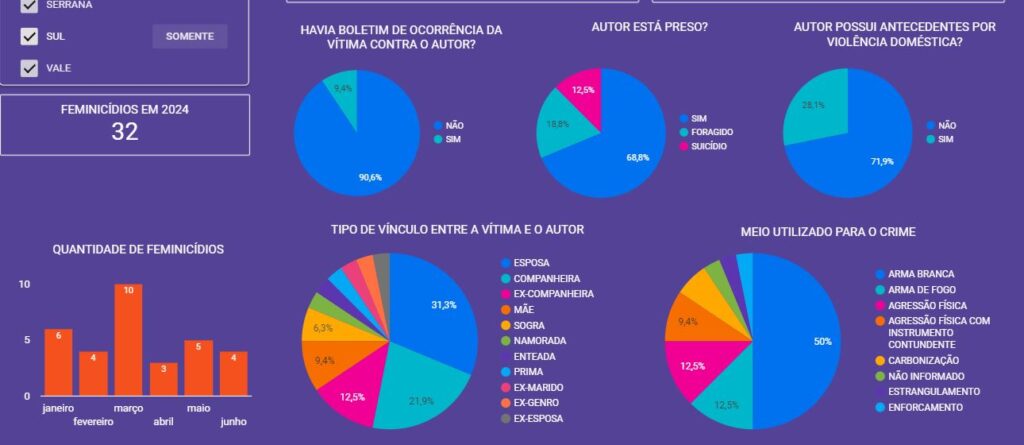 Feminicídos em SC 2024 - Fonte Observatório