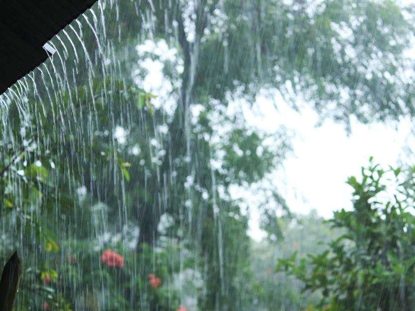 De quarta a sexta, joinville tem previsão de fortes chuvas na cidade - Foto Divulgação