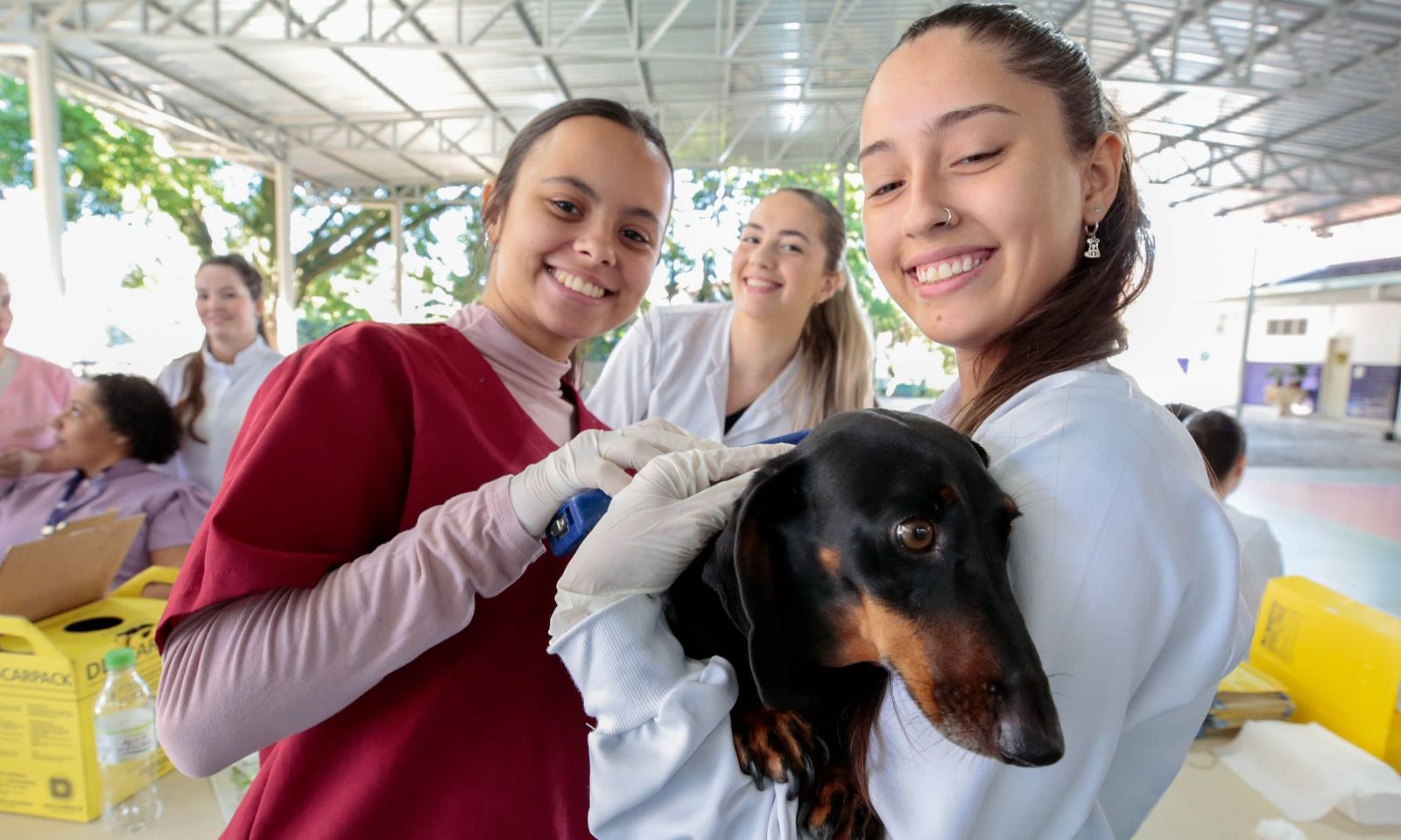 Mutirão de microchipagem tem a parceria dos alunos do curso de medicina veterinária da Unisociesc - Foto Divulgação