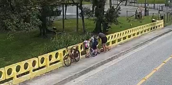 Momento em que a mulher jogou seu cachorro da ponte