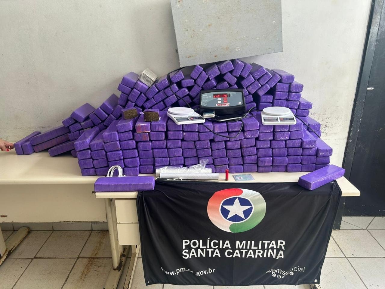 Maconha e equipamentos para venda da droga foram apreendidos pela polícia - Foto PMSC