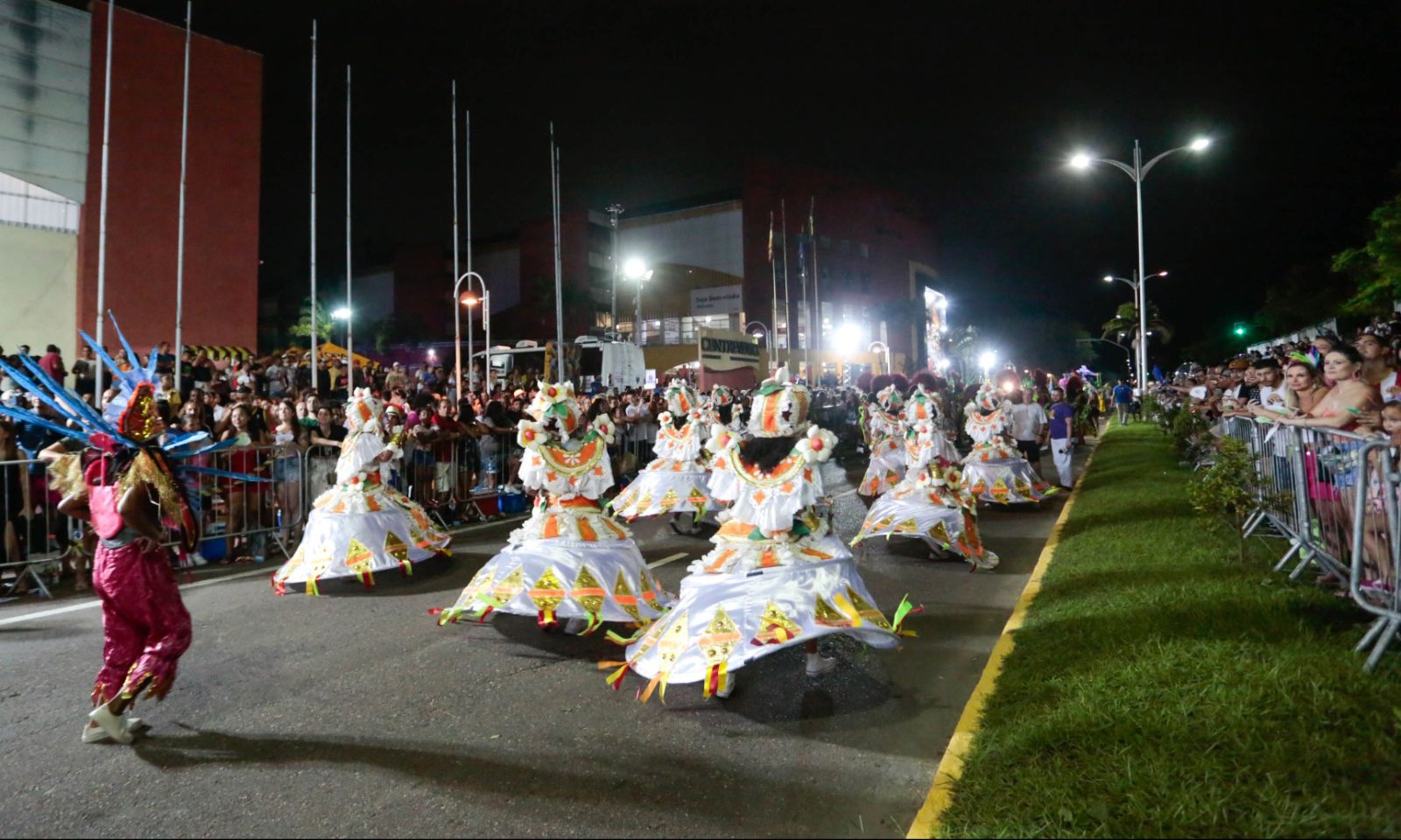 Desfile de escolas de samba no carnaval de Joinville - Foto Divulgação