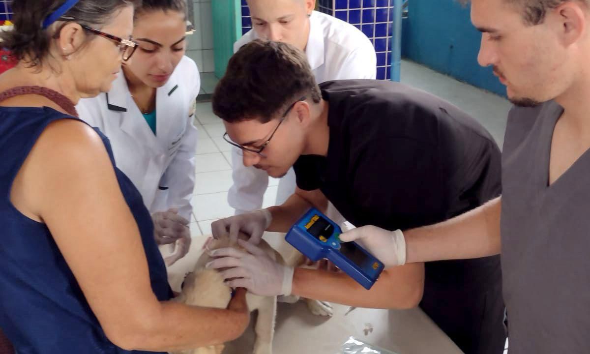 O mutirão conta com a participação de alunos do curso de Medicina Veterinária da Unisociesc - Foto Divulgação